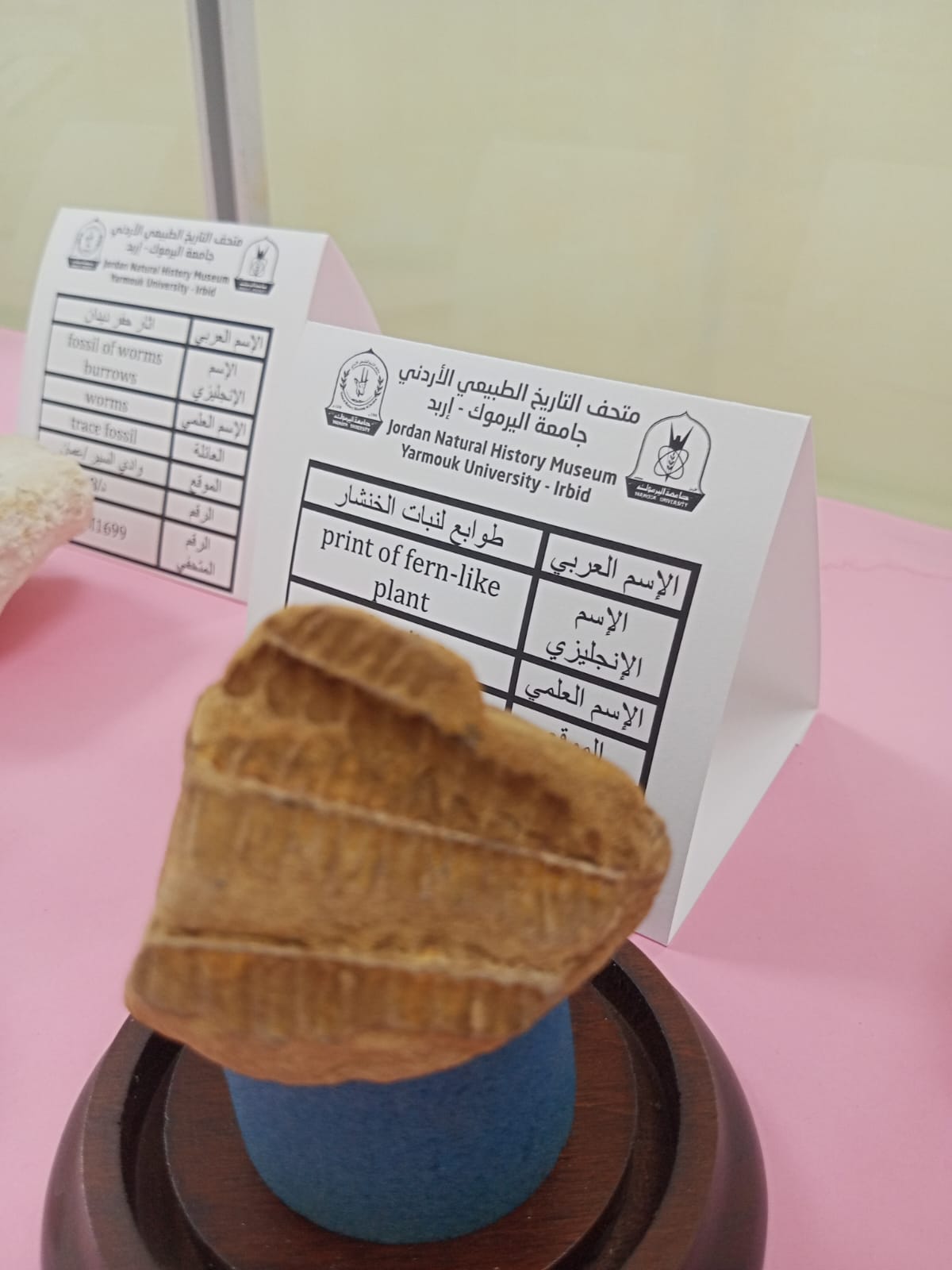 طابع لنبات الخنشار Image